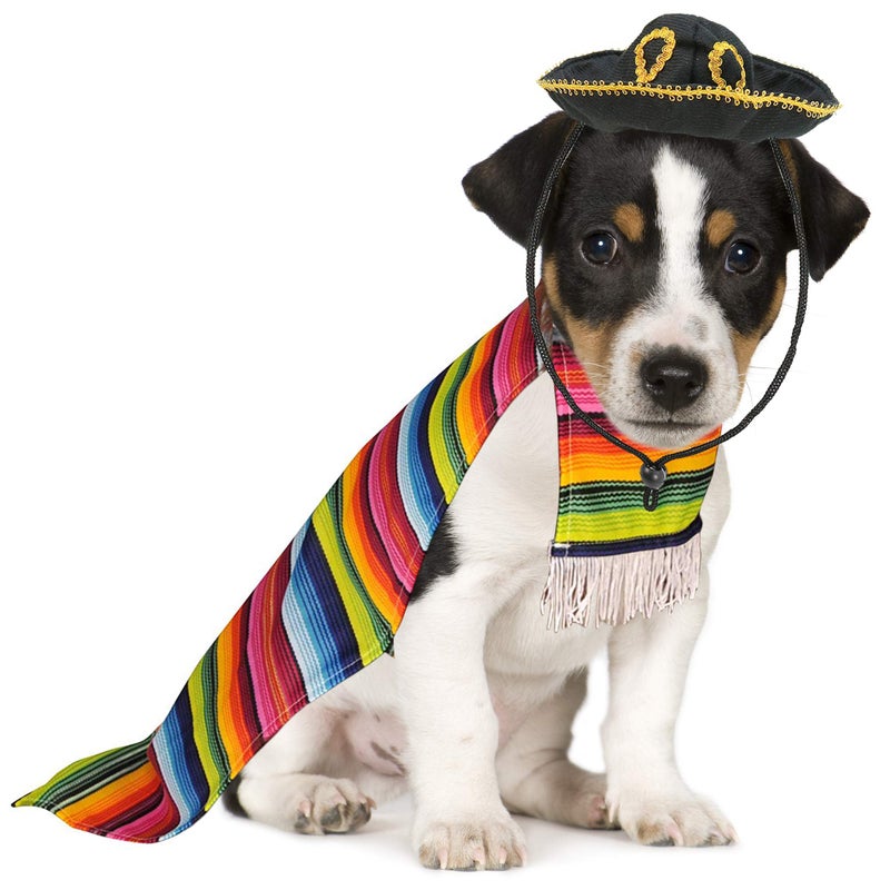 Skeleteen Mexican Serape Dog Costume - Cinco de Mayo Poncho and Sombrero Costumes for Pets (Size L) - Small Breeds Multicolored - Image 4